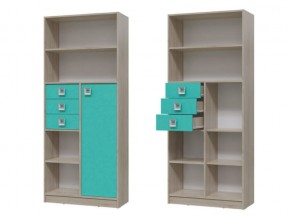 6-9414 Шкаф стеллаж с дверкой и ящиками в Кусе - kusa.mebel74.com | фото