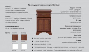 Детская Кентаки Белый в Кусе - kusa.mebel74.com | фото 2