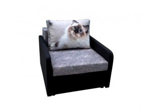 Кресло кровать Канзасик с подлокотниками кот голубые глаза в Кусе - kusa.mebel74.com | фото