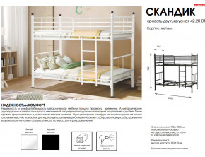 Кровать двухъярусная Скандик 42.20-01 в Кусе - kusa.mebel74.com | фото 2