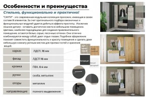 Прихожая Санти Белый/Дуб Крафт Золотой в Кусе - kusa.mebel74.com | фото 3