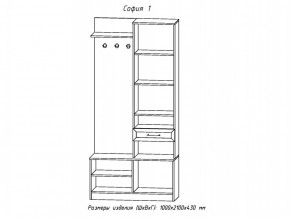 Прихожая София 1 в Кусе - kusa.mebel74.com | фото 2