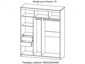 Шкаф-купе Альянс 18 комплект зеркал №4 в Кусе - kusa.mebel74.com | фото 2