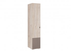 Шкаф однодверный 01.01 в Кусе - kusa.mebel74.com | фото