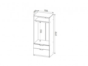 Шкаф с 2-мя ящиками ЛДСП Фаворит в Кусе - kusa.mebel74.com | фото 2