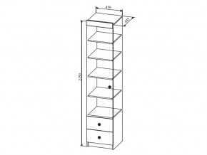 Шкаф Сканди ШД450.1 в Кусе - kusa.mebel74.com | фото 2