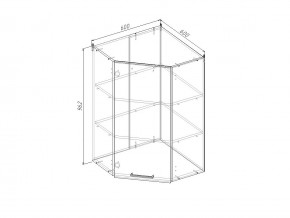 ВУ9 Модуль верхний Угловой МВУ9 в Кусе - kusa.mebel74.com | фото